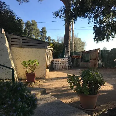 Σπίτι διακοπών Maison Campagne Menton