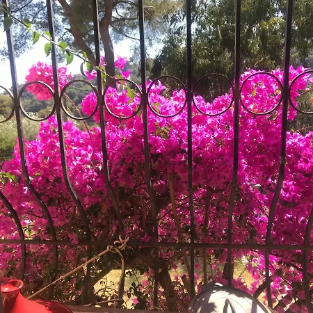 Maison Campagne Menton Σπίτι διακοπών Μεντόν